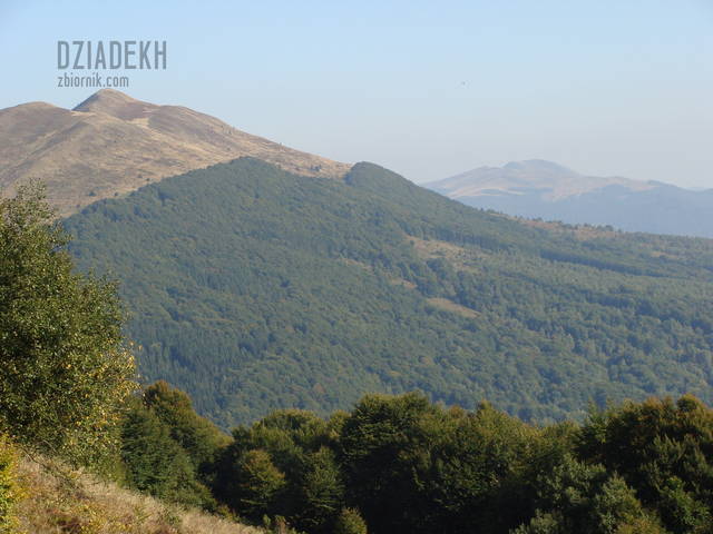 Widok z Połoniny Wetlińskiej - dziadekh
