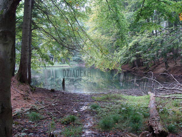 Jeziorko Duszatyńskie - dziadekh