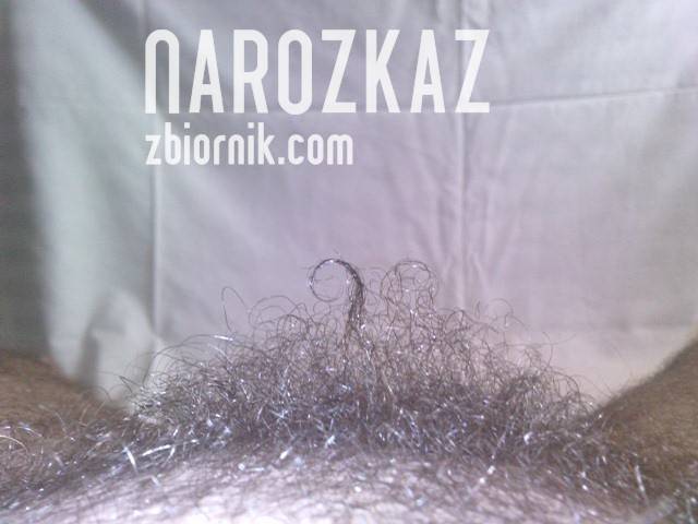 loczek :) - NaRozkaz