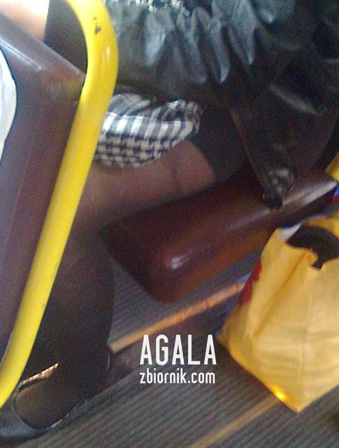Zdjęcie0589cz.jpg - AGALA
