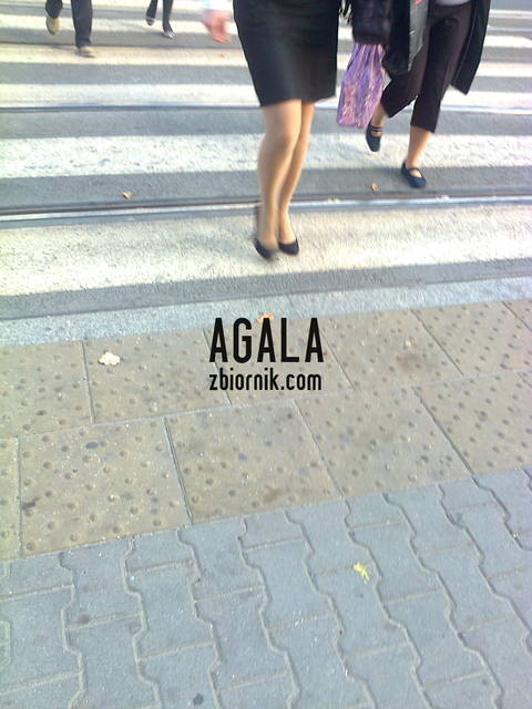 Zdjęcie0531kl.jpg - AGALA