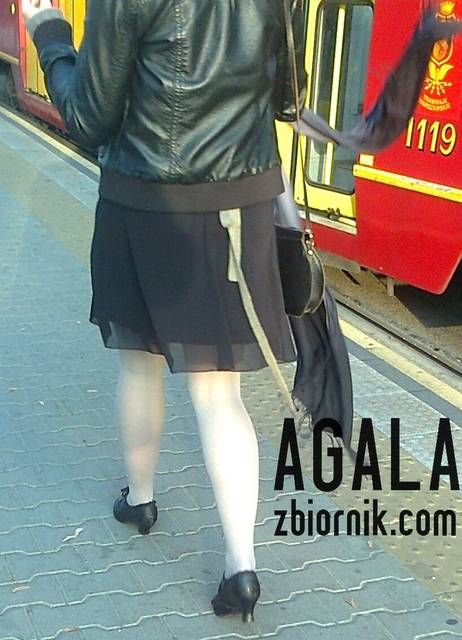 Zdjęcie0623kol.jpg - AGALA
