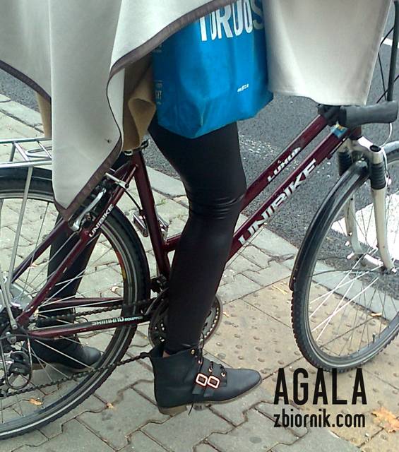 Zdjęcie0731l.jpg - AGALA