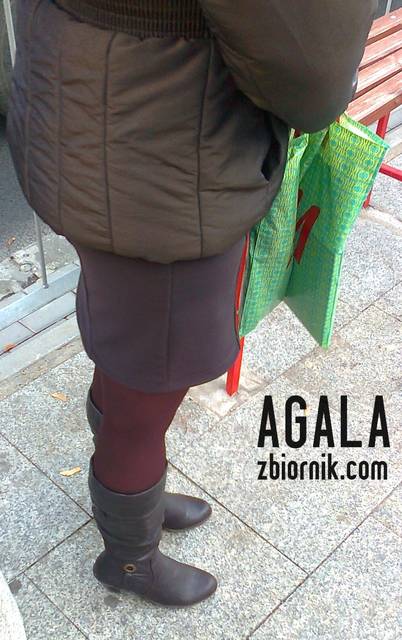 Zdjęcie1002kol.jpg - AGALA