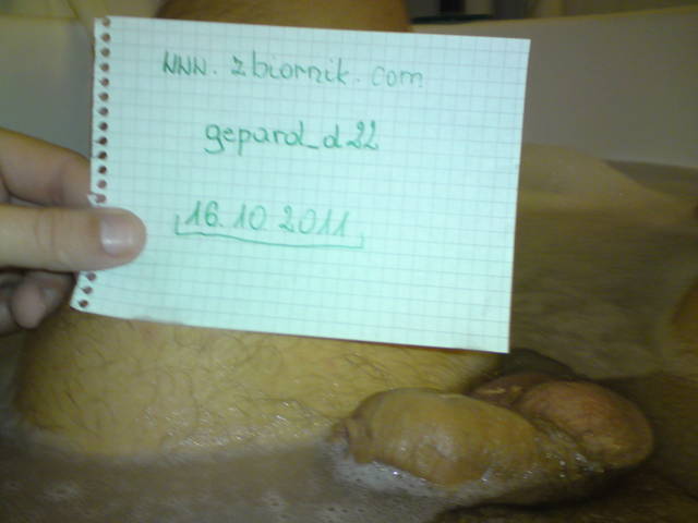 werfikacja2 - gepard_d22