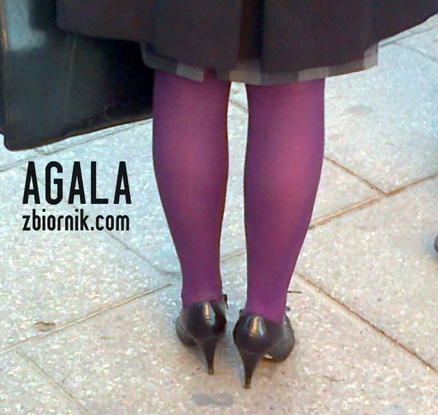 Zdjęcie1157kol.jpg - AGALA