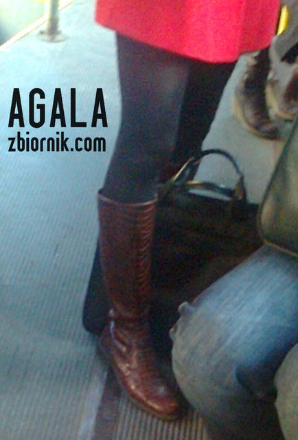 Zdjęcie1291cz.jpg - AGALA