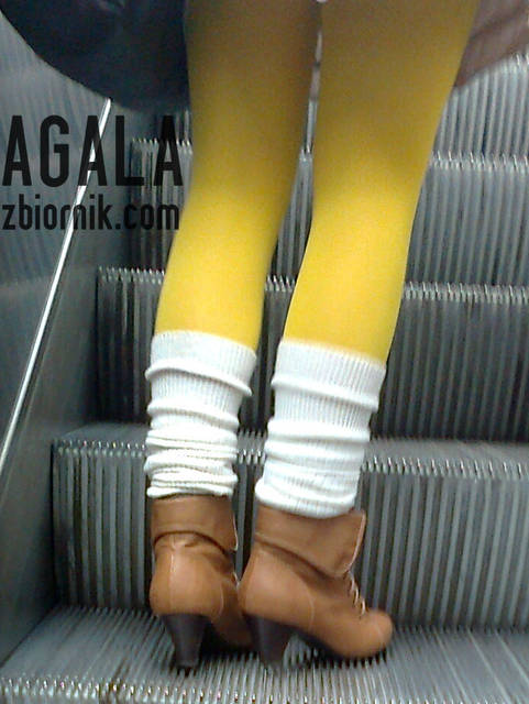 Zdjęcie1367kol.jpg - AGALA
