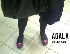Zdjęcie1366kol.jpg