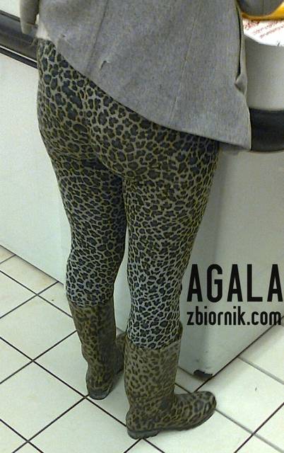 Zdjęcie1385l.jpg - AGALA