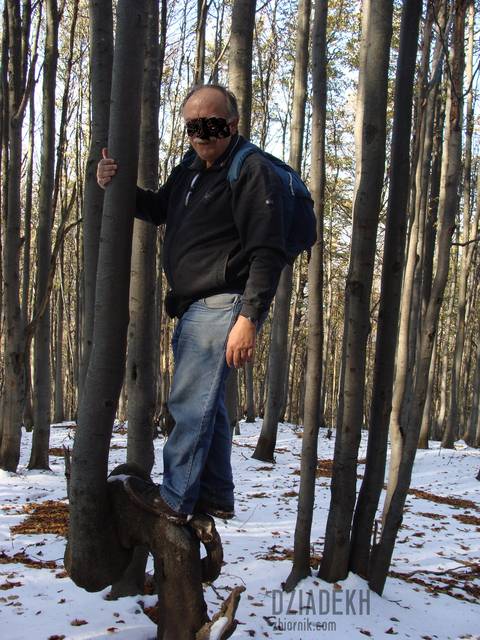 Na pochyłe drzewo... - dziadekh