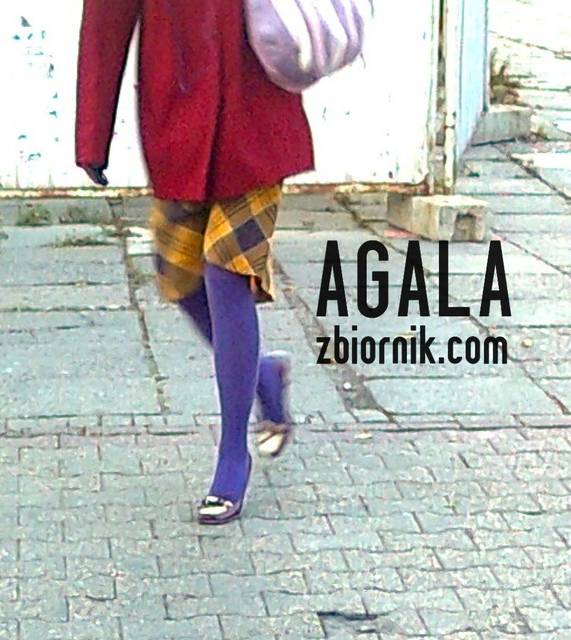 Zdjęcie1465kol.jpg - AGALA