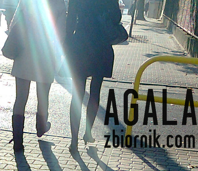 Zdjęcie1591kol.jpg - AGALA