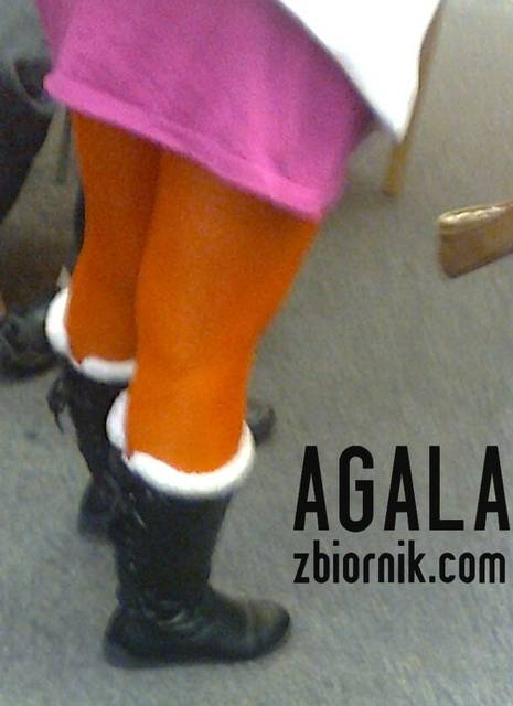 Zdjęcie1687kol.jpg - AGALA