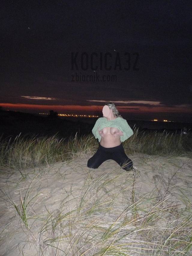 kocica32