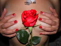 "Enjoy the silence" :)