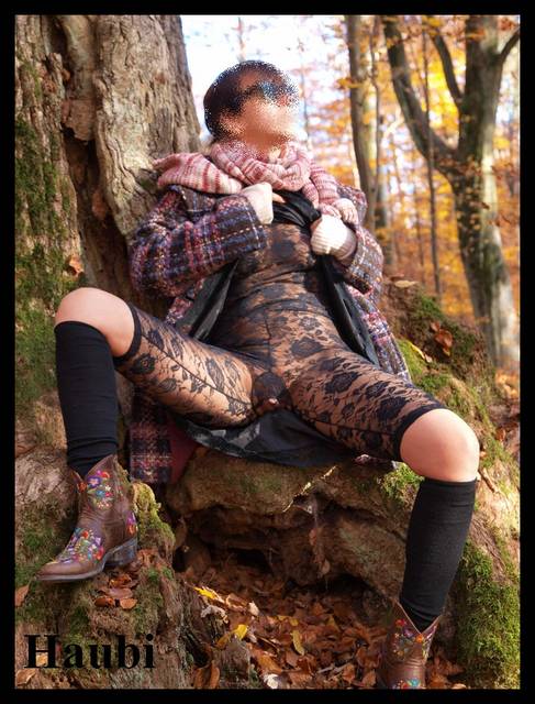 Zlota Jesien - haubi