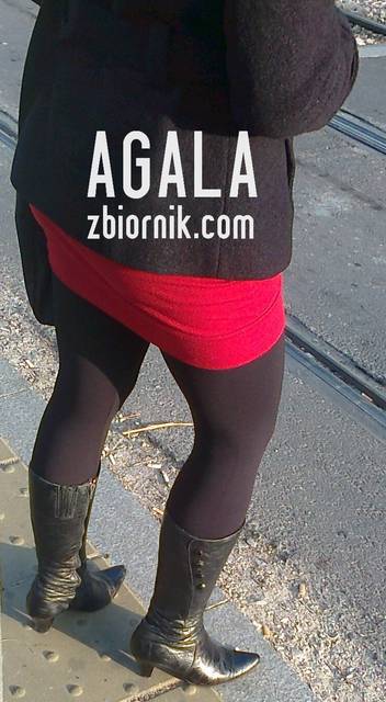 Zdjęcie2037l.jpg - AGALA