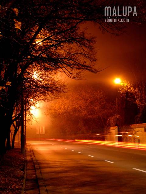 ...gdzieś w stolicy... - malupa