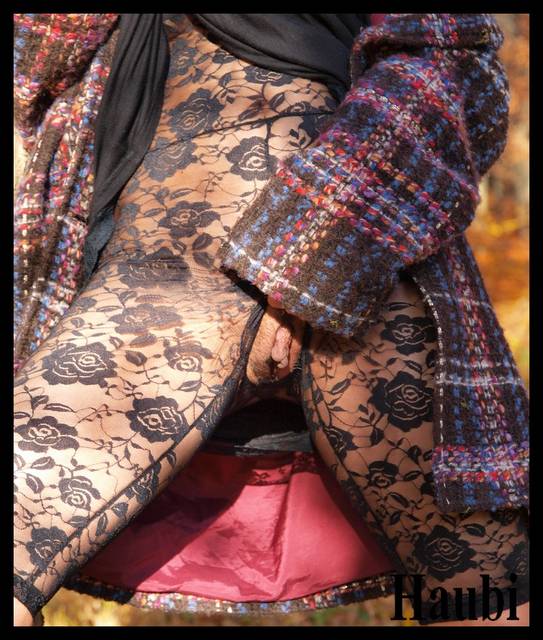 Zlota Jesien - haubi