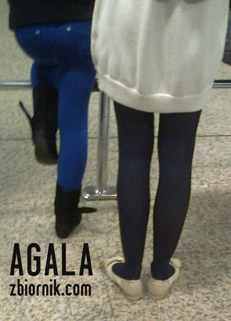 Zdjęcie2111kol.jpg - AGALA