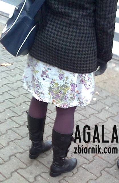 Zdjęcie2170kol.jpg - AGALA