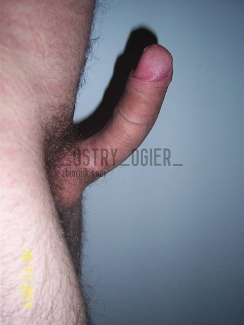 Sterczący - _ostry_ogier_