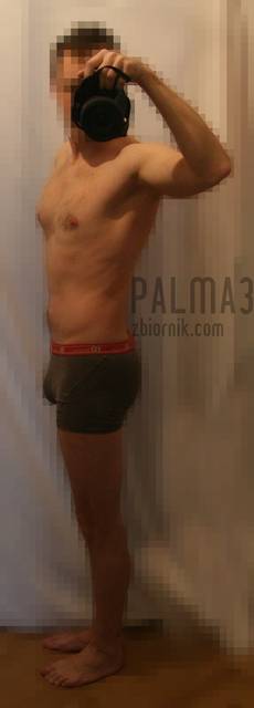 IMG_0087b.JPG - palma3