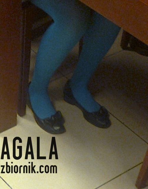 Zdjęcie2471kol.jpg - AGALA