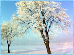 Taki mróz nas czeka znów :)