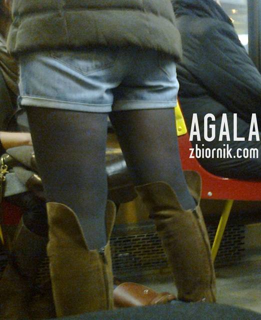 Zdjęcie2562kol.jpg - AGALA