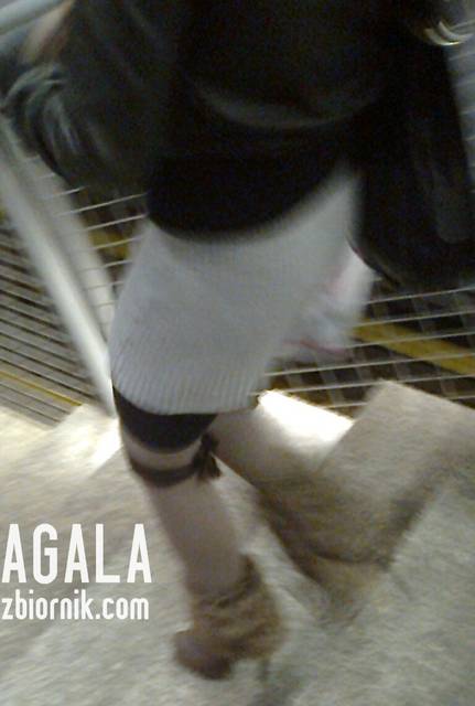Zdjęcie2611odj.jpg - AGALA