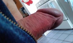 IMAG0156.1.jpg