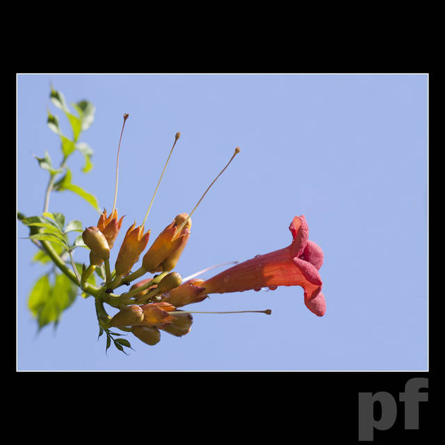 TAKIE TAM ... - panfoto