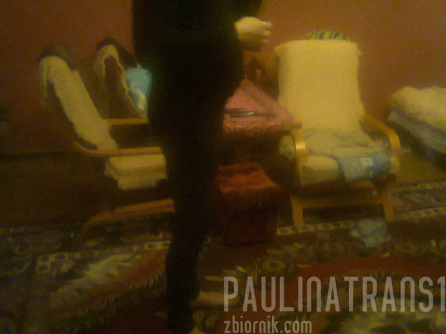 zdjęcie0082.jpg - paulinatrans1