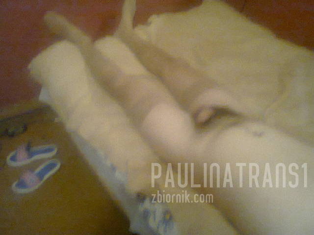 zdjęcie0073.jpg - paulinatrans1