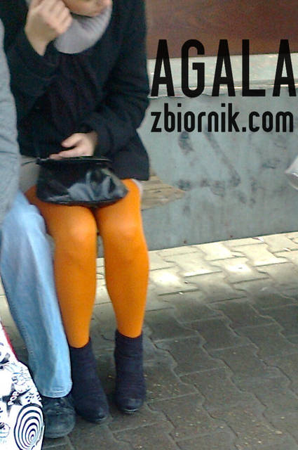 Zdjęcie2667kol.jpg - AGALA