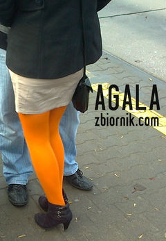 Zdjęcie2655kol.jpg