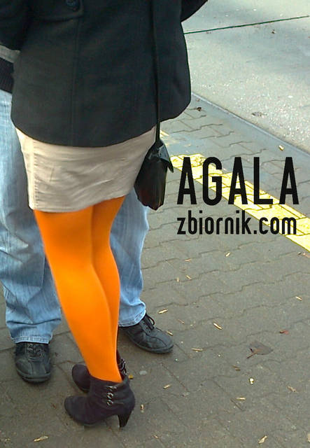 Zdjęcie2655kol.jpg - AGALA