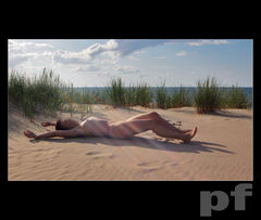 WIDZIAŁEM SUTKA CIEŃ ...