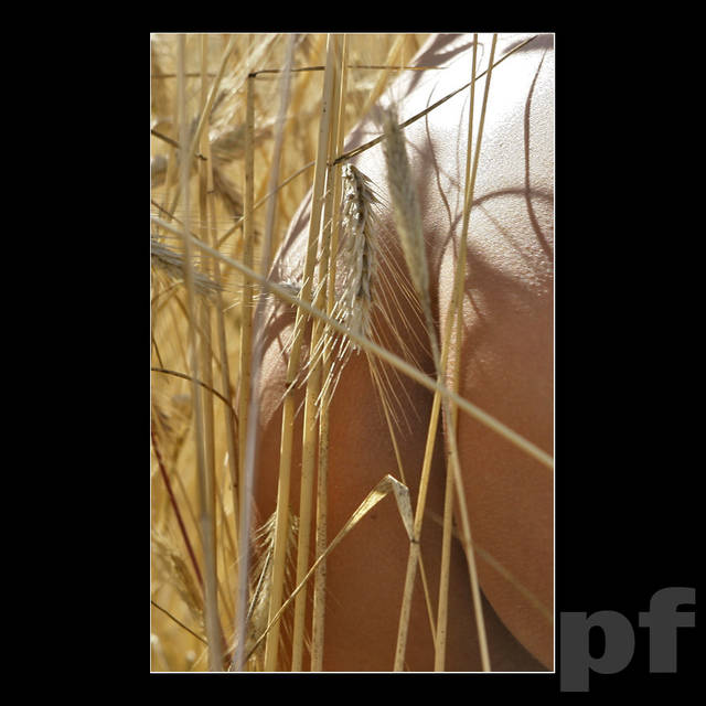 PÓL DUPY ZA KRZAKIEM - panfoto