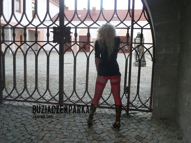 Wpuścicie mnie na dziedziniec? - BuziaczekParka