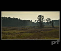 ŻURAWIA ŁĄKA JESIENNYM WIECZOREM