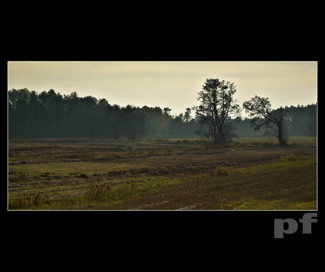 ŻURAWIA ŁĄKA JESIENNYM WIECZOREM - panfoto