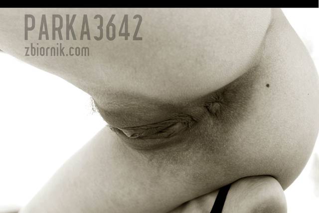 parka3642
