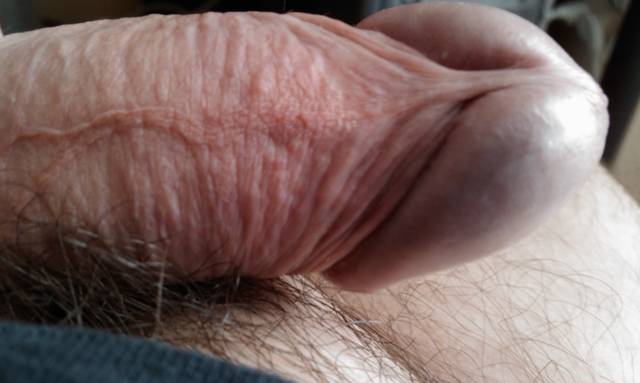 IMAG0184.1.jpg - ny39