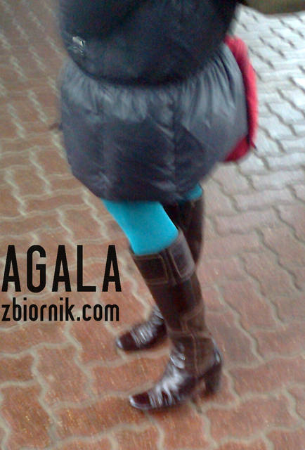 Zdjęcie2771kol.jpg - AGALA