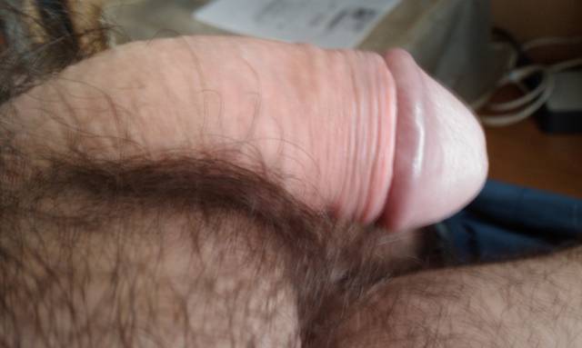 IMAG0185.1.jpg - ny39