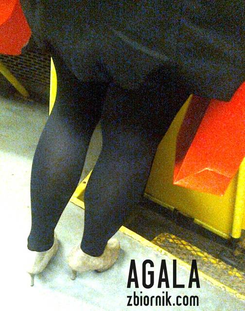 Zdjęcie2804cz.jpg - AGALA