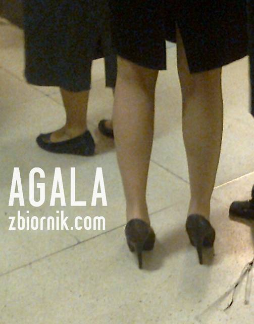 Zdjęcie2836kl.jpg - AGALA